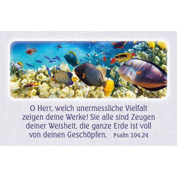 Produktbild: 62 Psalm-Gebete