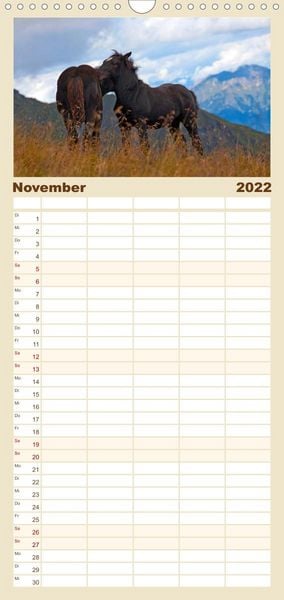 Produktbild: Familienplaner Pferde und Ponys im Paradies (Wandkalender 2022 , 21 cm x 45 cm, hoch)