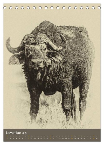 Produktbild: Afrikas Tierwelt - Sepia-Art (Tischkalender 2026 DIN A5 hoch), CALVENDO Monatskalender