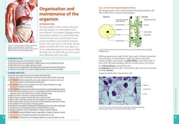 Produktbild: Cambridge Igcse(r) Biology: Student Book