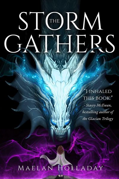 Produktbild: The Storm Gathers