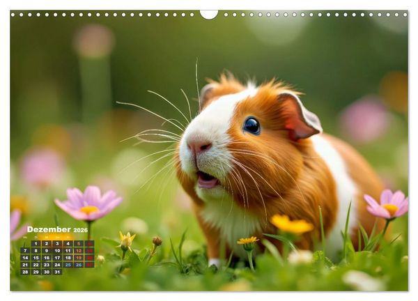 Produktbild: S&uuml;&szlig;e Meerschweinchen (Wandkalender 2026 DIN A3 quer), CALVENDO Monatskalender