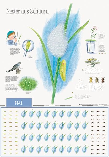 Produktbild: Natur erleben durch das Jahr - 1