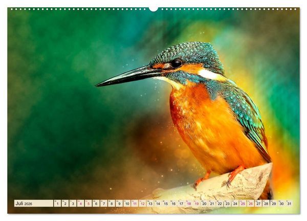 Produktbild: Wundersch&ouml;ner Eisvogel (hochwertiger Premium Wandkalender 2026 DIN A2 quer), Kunstdruck in Hochglanz