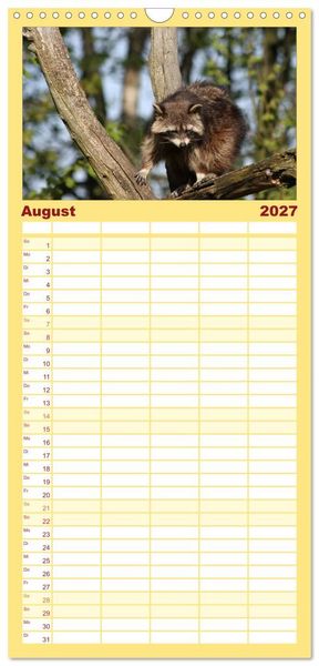 Produktbild: Familienplaner 2027 - Waschb&auml;ren mit 5 Spalten (Wandkalender, 21 x 45 cm) CALVENDO