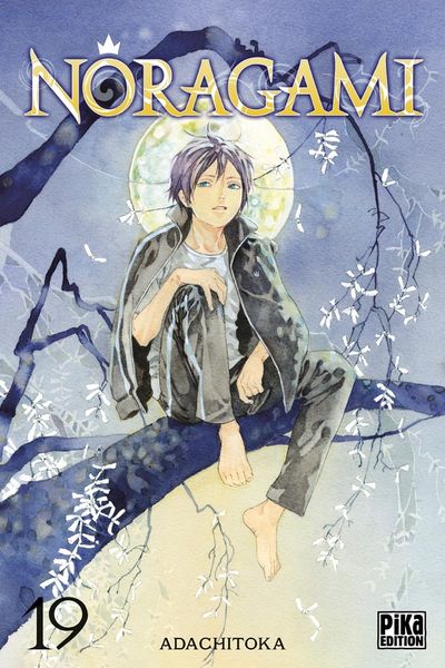 Produktbild: Noragami. Tome 19