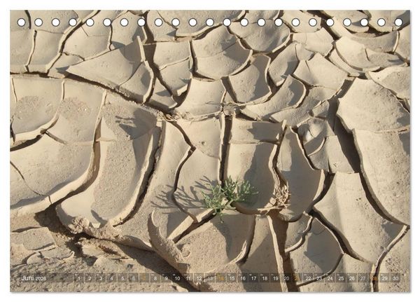 Produktbild: Impressionen Kameltrekking Sinai 2026 (Tischkalender 2026 DIN A5 quer), CALVENDO Monatskalender