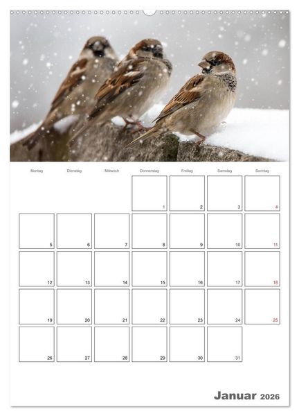 Produktbild: V&ouml;gel im heimischen Garten (hochwertiger Premium Wandkalender 2026 DIN A2 hoch), Kunstdruck in Hochglanz