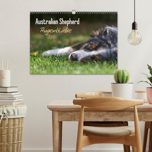 Produktbild: Australian Shepherd - Augenblicke (Wandkalender 2026 DIN A3 quer), CALVENDO Monatskalender