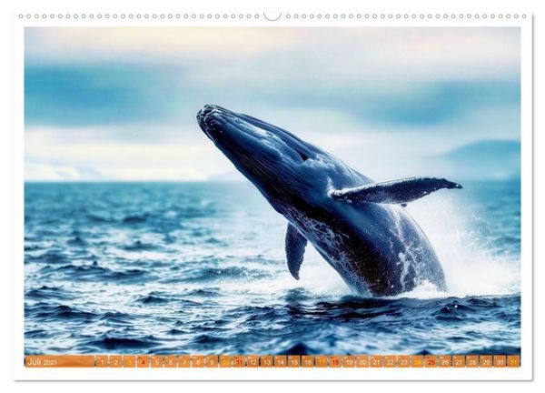 Produktbild: Whale Watching (hochwertiger Premium Wandkalender 2027 DIN A2 quer), Kunstdruck in Hochglanz