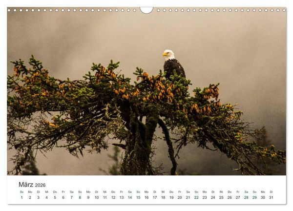 Produktbild: Into the Wild - Kanada und Alaska (Wandkalender 2026 DIN A3 quer), CALVENDO Monatskalender
