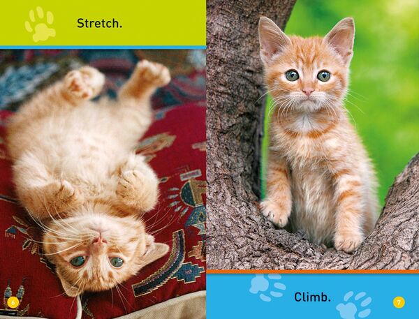 Produktbild: National Geographic Kids: Play, Kitty!