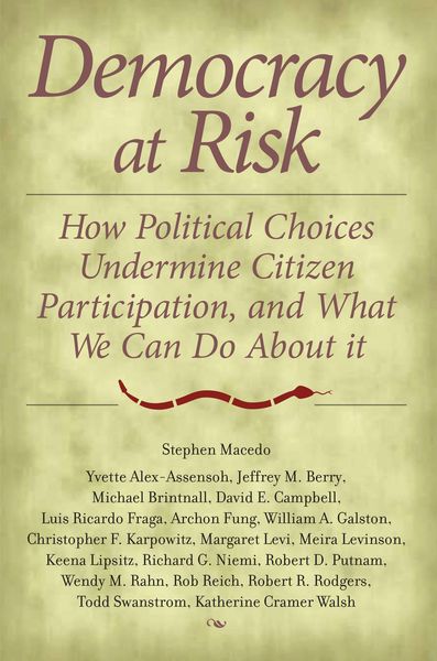 Produktbild: Democracy at Risk