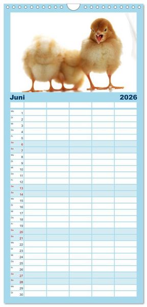 Produktbild: Familienplaner 2026 - K&uuml;ken in der Kinderstube mit 5 Spalten (Wandkalender, 21 x 45 cm) CALVENDO