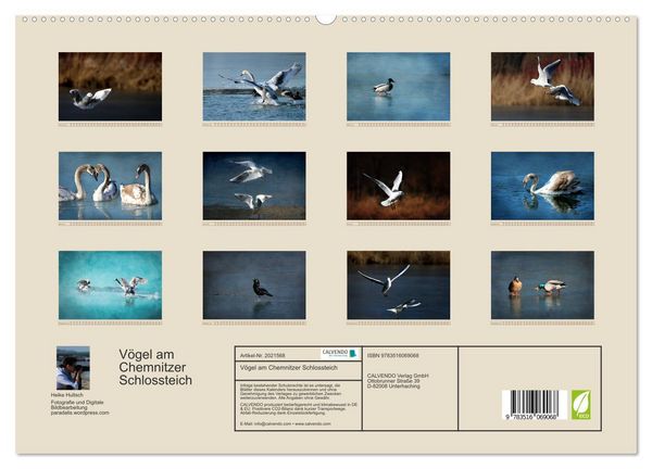 Produktbild: V&ouml;gel am Chemnitzer Schlossteich (hochwertiger Premium Wandkalender 2026 DIN A2 quer), Kunstdruck in Hochglanz