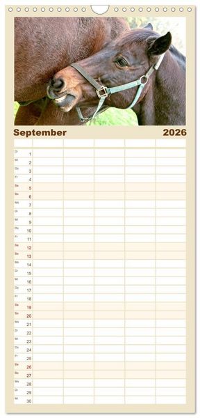 Produktbild: Familienplaner 2026 - Pferde - kraftvolle Eleganz mit 5 Spalten (Wandkalender, 21 x 45 cm) CALVENDO