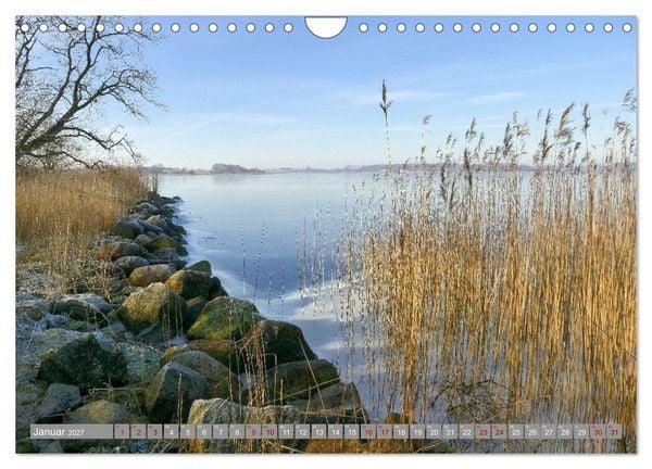 Produktbild: Am sch&ouml;nsten Uferabschnitt der Schlei (Wandkalender 2027 DIN A4 quer), CALVENDO Monatskalender