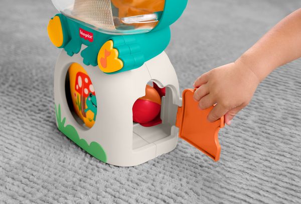 Produktbild: Fisher-Price Seek & Hide Frog.JLB96