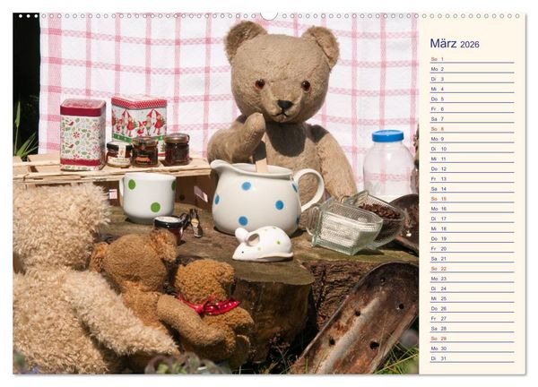 Produktbild: Geliebte B&auml;ren - Teddys (Wandkalender 2026 DIN A2 quer), CALVENDO Monatskalender