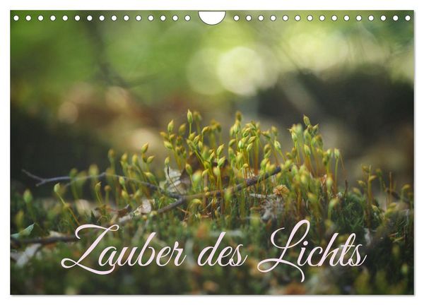 Zauber des Lichts (Wandkalender 2026 DIN A4 quer), CALVENDO Monatskalender