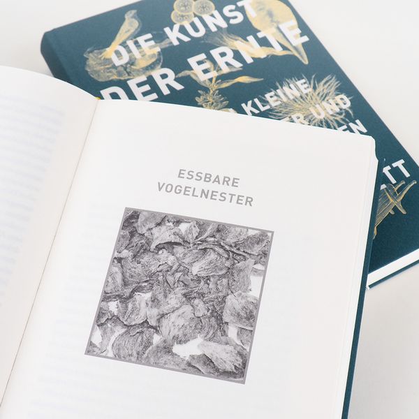 Produktbild: Die Kunst der Ernte