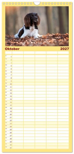 Produktbild: Familienplaner 2027 - Passion Jagdhund - Kleiner M&uuml;nsterl&auml;nder mit 5 Spalten (Wandkalender, 21 x 45 cm) CALVENDO