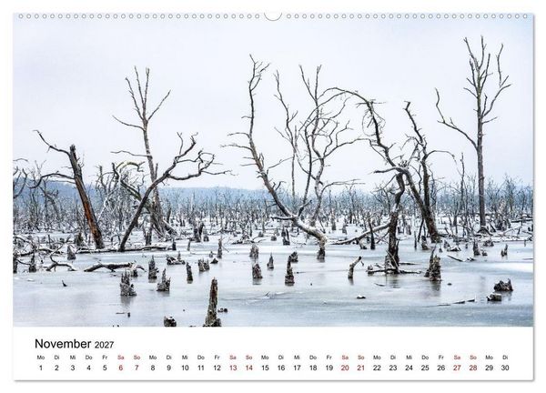Produktbild: Naturwunder Stettiner Haff (Wandkalender 2027 DIN A2 quer), CALVENDO Monatskalender