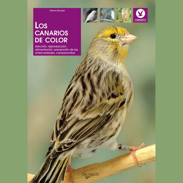 Los canarios de color - Gianni Ravazzi, Audio, 9798894057798