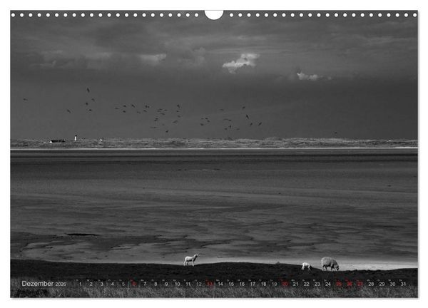 Produktbild: 54&deg;54'57"N 8&deg;19'51"E SYLT (Wandkalender 2026 DIN A3 quer), CALVENDO Monatskalender