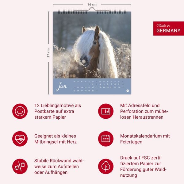 Produktbild: Pferde Postkartenkalender 2027 - Starke Freunde