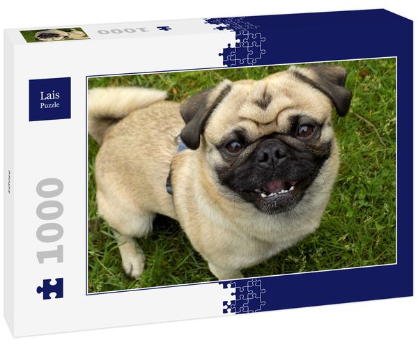 Produktbild: Lais Puzzle Mops 1000 Teile