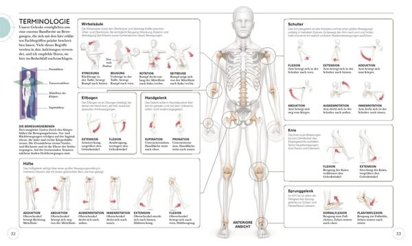 Produktbild: HIIT - Die Anatomie verstehen