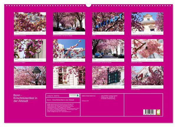 Produktbild: Bonn - Kirschbl&uuml;tenfest in der Altstadt (Wandkalender 2026 DIN A2 quer), CALVENDO Monatskalender