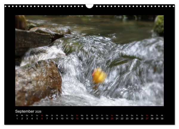 Produktbild: Enten-Rennen (Wandkalender 2026 DIN A3 quer), CALVENDO Monatskalender