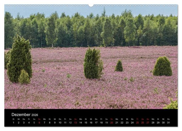Produktbild: L&uuml;neburger Heide (hochwertiger Premium Wandkalender 2026 DIN A2 quer), Kunstdruck in Hochglanz