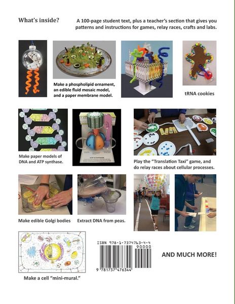 Produktbild: Cells, 2nd edition