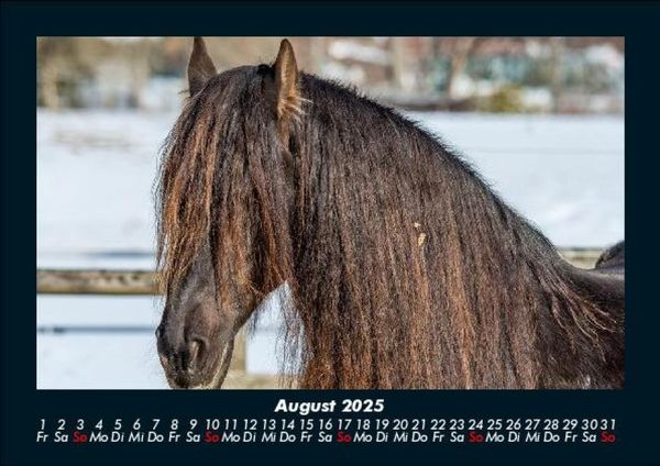 Produktbild: Die Welt der Pferde 2025 Fotokalender DIN A5