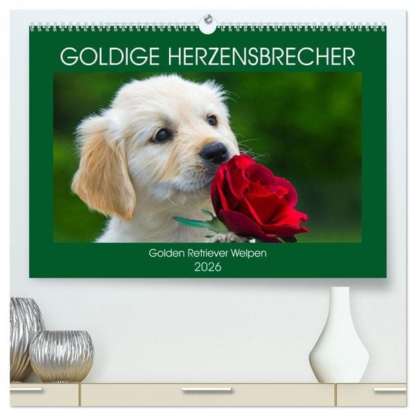 Produktbild: Goldige Herzensbrecher - Golden Retriever Welpen (hochwertiger Premium Wandkalender 2026 DIN A2 quer), Kunstdruck in Hochglanz