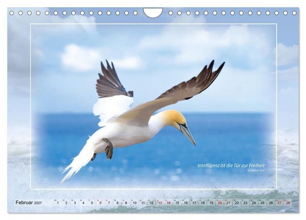 Produktbild: Insel Gedanken (Wandkalender 2027 DIN A4 quer), CALVENDO Monatskalender