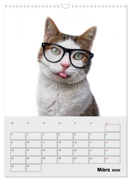 Produktbild: Crazy Catz. (Wandkalender 2026 DIN A3 hoch), CALVENDO Monatskalender