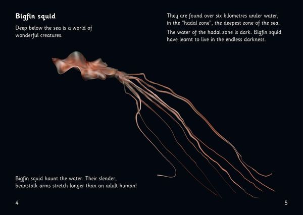 Produktbild: The Deep