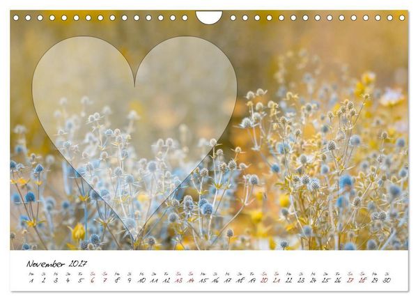 Produktbild: Blauer Bl&uuml;tentraum - Bastelkalender (Wandkalender 2027 DIN A4 quer), CALVENDO Monatskalender
