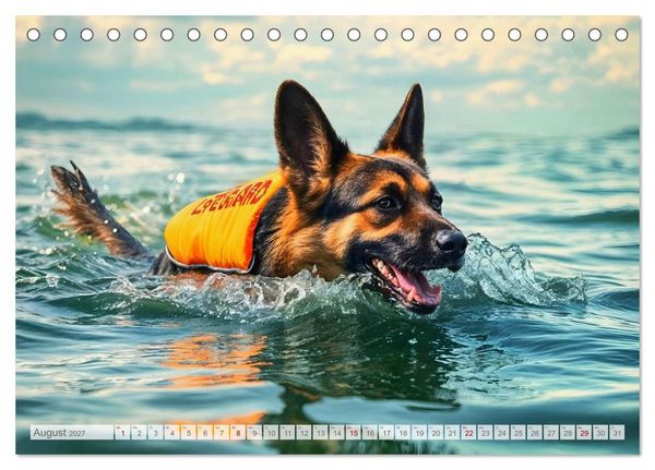 Produktbild: Sch&auml;ferhund 24/7 - Keine Pause f&uuml;r echte Helden (Tischkalender 2027 DIN A5 quer), CALVENDO Monatskalender