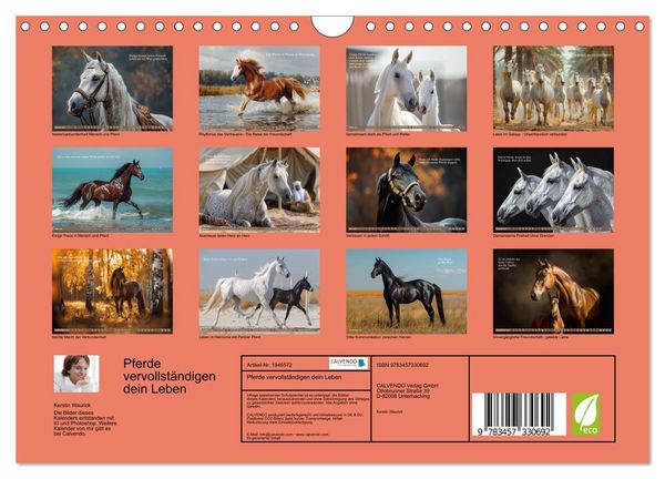 Produktbild: Pferde vervollst&auml;ndigen dein Leben (Wandkalender 2026 DIN A4 quer), CALVENDO Monatskalender