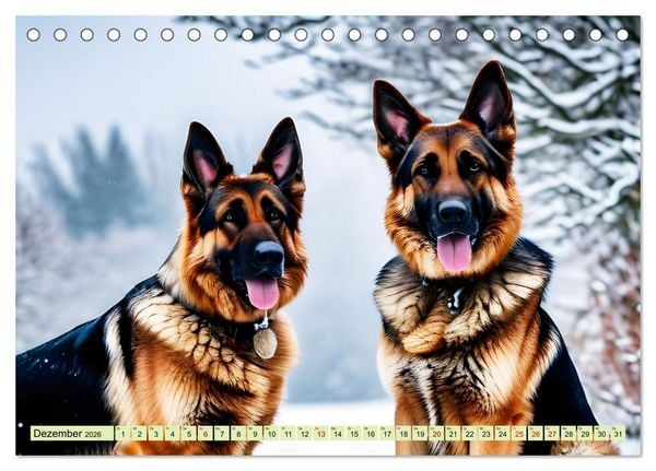Produktbild: Deutscher Sch&auml;ferhund - Inbegriff der Treue (Tischkalender 2026 DIN A5 quer), CALVENDO Monatskalender