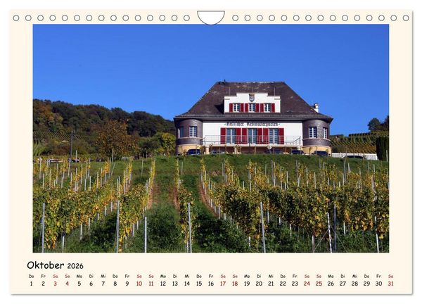 Produktbild: Weinlandschaft - Heppenheim an der Bergstra&szlig;e (Wandkalender 2026 DIN A4 quer), CALVENDO Monatskalender