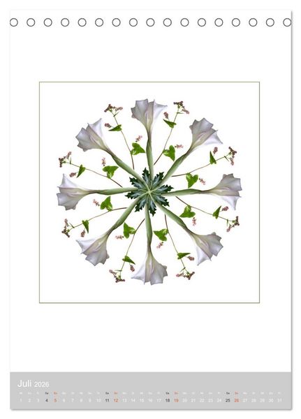 Produktbild: Pflanzen - Mandalas aus Bl&uuml;ten und Bl&auml;ttern (Tischkalender 2026 DIN A5 hoch), CALVENDO Monatskalender