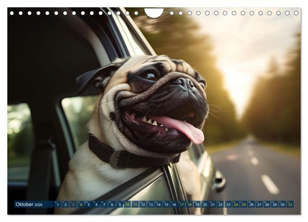 Produktbild: Lustige Mops-Hunde: Die charmanten Meister von Chaos und Unfug (Wandkalender 2026 DIN A4 quer), CALVENDO Monatskalender