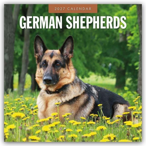 Produktbild: German Shepherds &ndash; Deutscher Sch&auml;ferhund 2027 &ndash; 16-Monatskalender