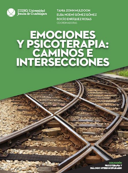 Produktbild: Emociones y psicoterapia: caminos e intersecciones